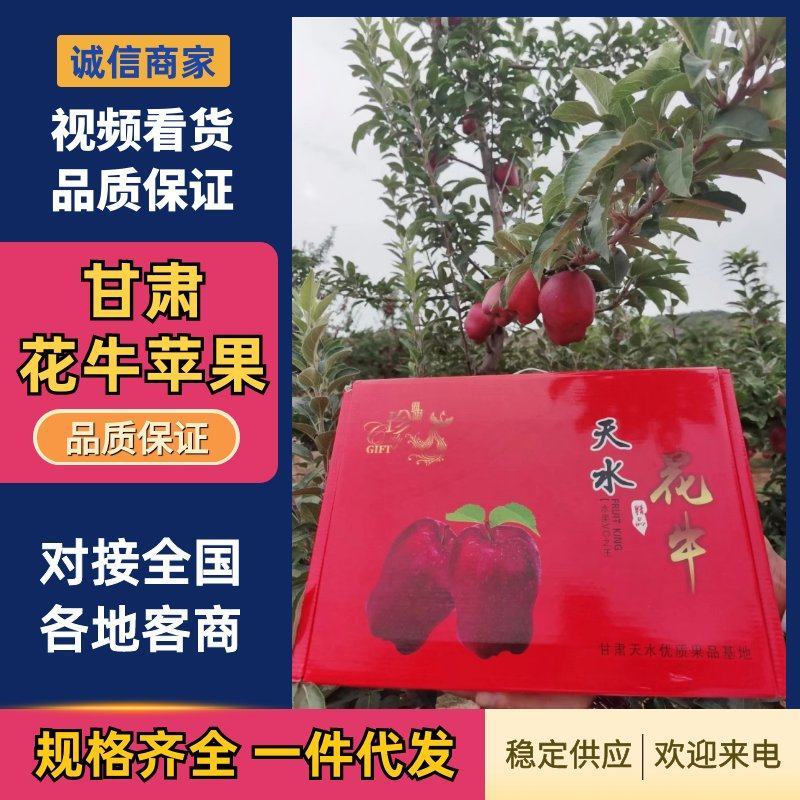 【推荐】甘肃天水花牛苹果产地直发，一手货源，量大从优