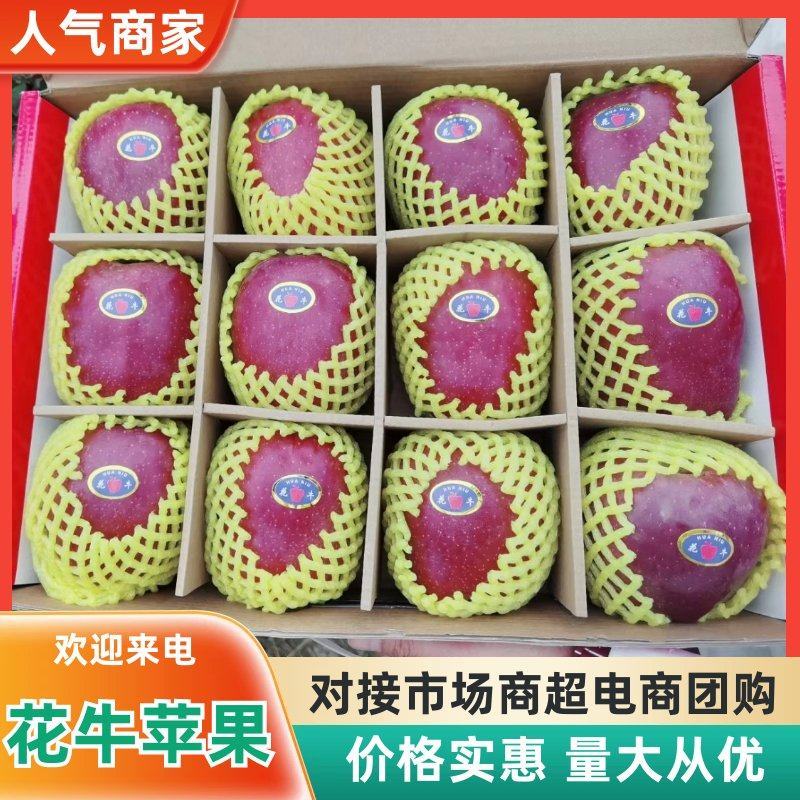 【苹果】天水花牛苹果供应市场商超社区团购可视频看货