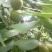 V1388160014是
