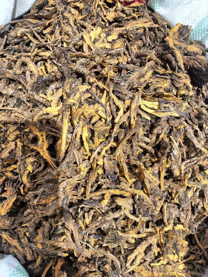 黄连批发中药材原料批发鸡爪连全检验批发中药材黄连片