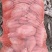 龙薯九