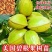 美国碧根果树嫁接苗当年结果南方北方种植盆栽碧根果树苗
