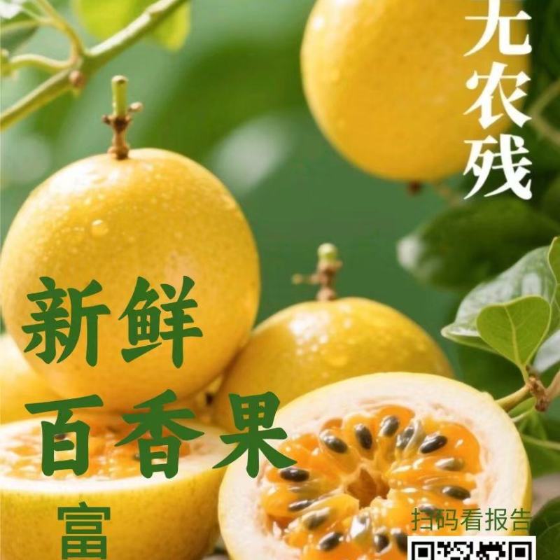 重庆百香果一手货源现货供应厂家直发，支持一件代发