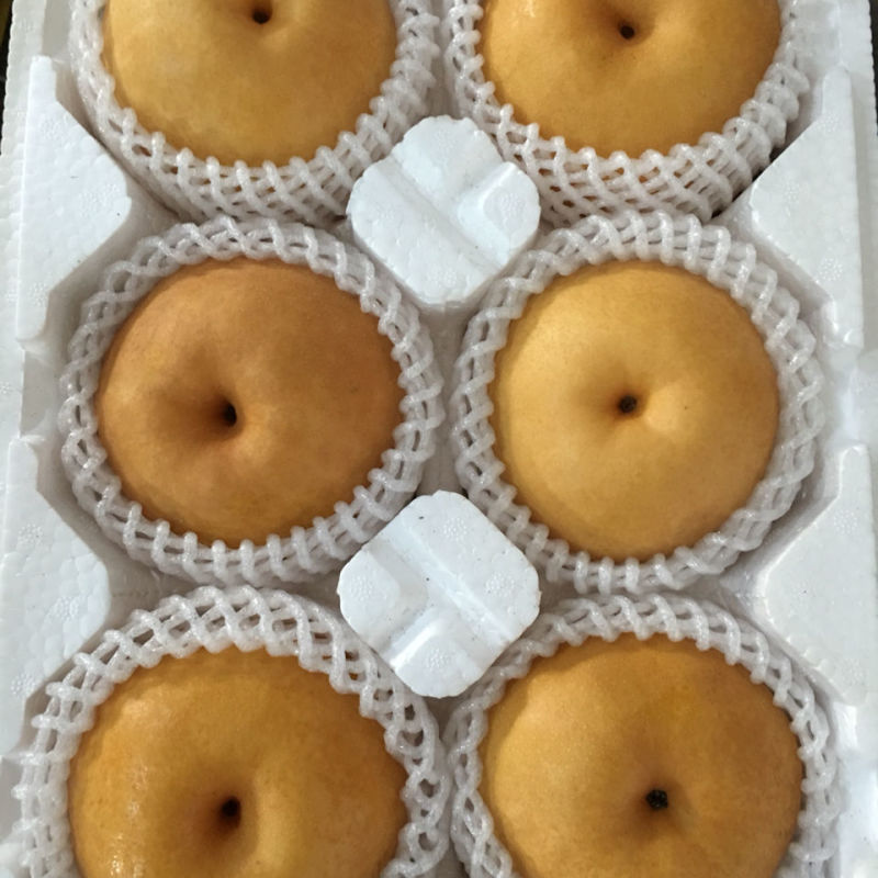 精品新高梨徐州梨大量供应可视频看货欢迎来电采购洽谈
