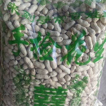 现炒干炒花生