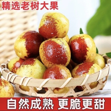 [热卖]沾化冬枣对接各大市场档口商超电商平台
