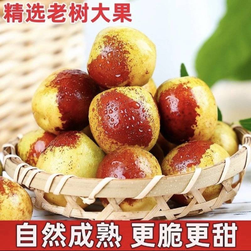 [热卖]沾化冬枣对接各大市场档口商超电商平台