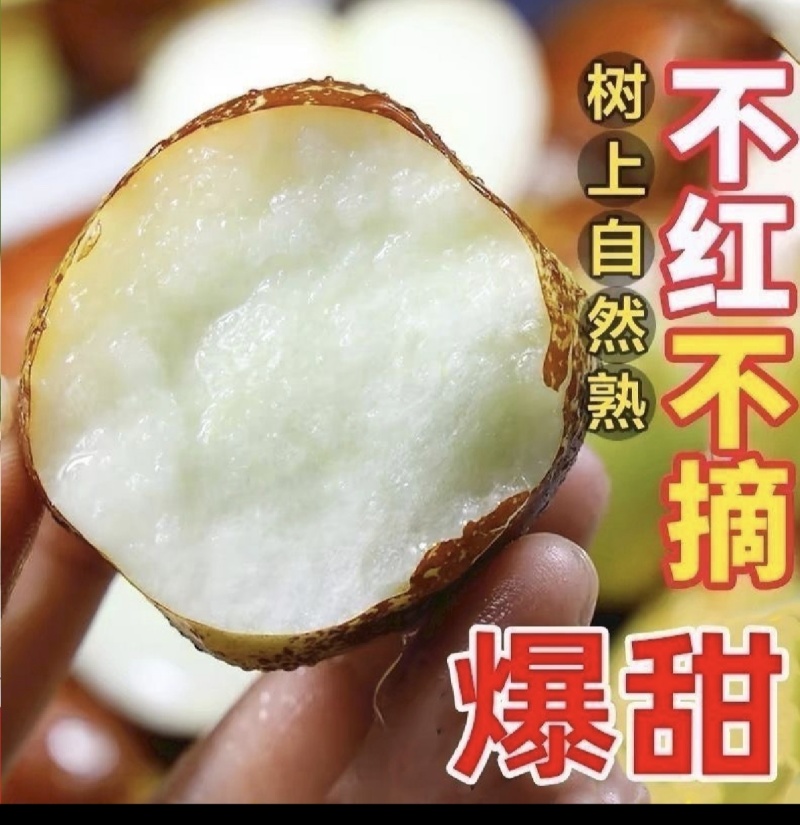 [热卖]沾化冬枣对接各大市场档口商超电商平台