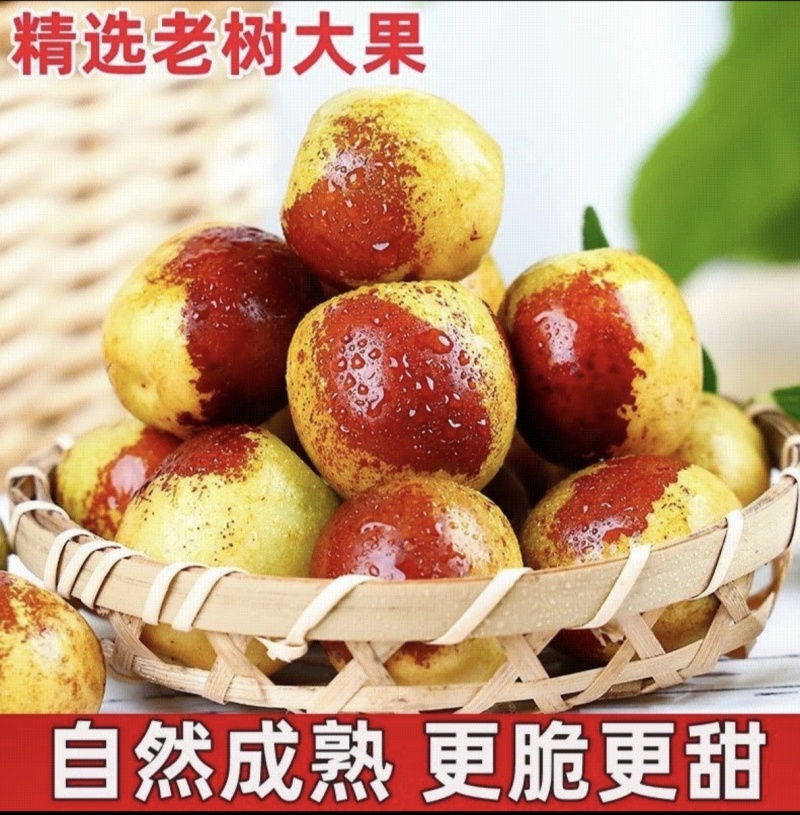 [热卖]沾化冬枣对接各大市场档口商超电商平台