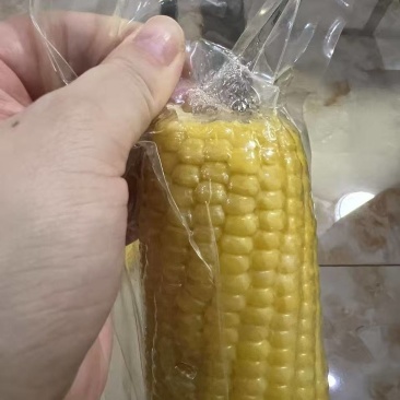 辣椒