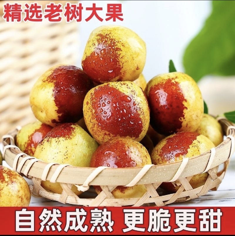 [热卖]沾化冬枣对接各大市场档口商超电商平台