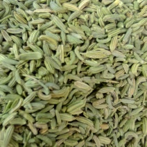 小茴香，产地直发