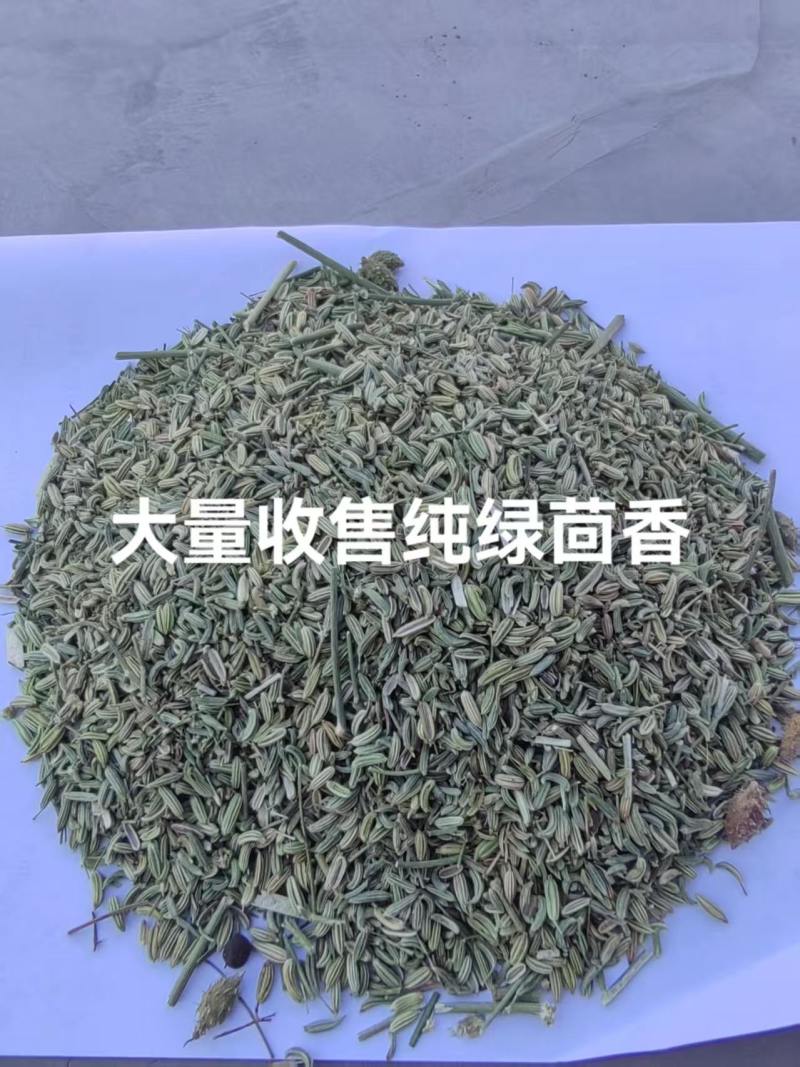 小茴香，产地直发