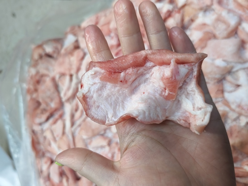 鲜冻猪皮去毛去油生猪皮肉皮猪皮猪皮批发鲜猪碎皮冷冻