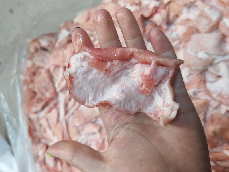 鲜冻猪皮去毛去油生猪皮肉皮猪皮猪皮批发鲜猪碎皮冷冻