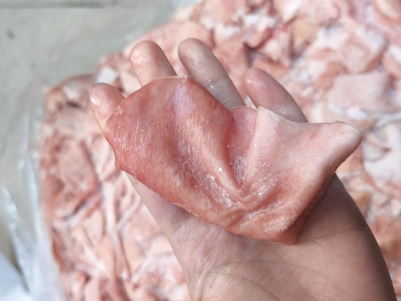 鲜冻猪皮去毛去油生猪皮肉皮猪皮猪皮批发鲜猪碎皮冷冻