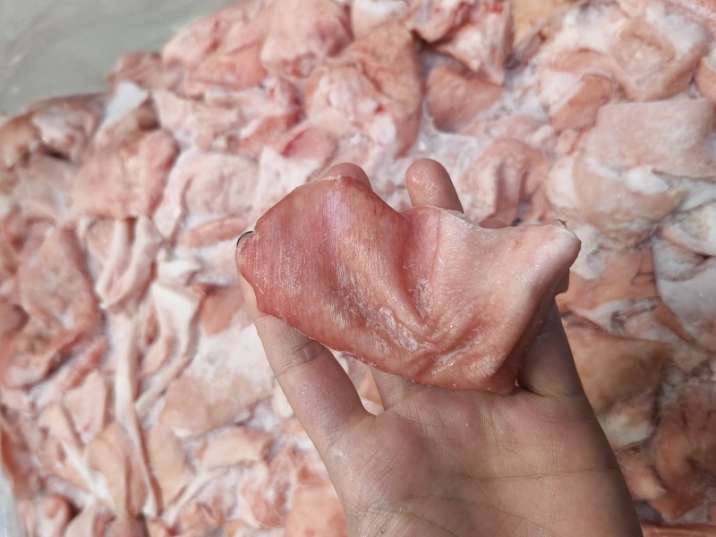 鲜冻猪皮去毛去油生猪皮肉皮猪皮猪皮批发鲜猪碎皮冷冻