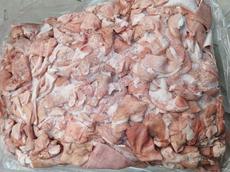 鲜冻猪皮去毛去油生猪皮肉皮猪皮猪皮批发鲜猪碎皮冷冻