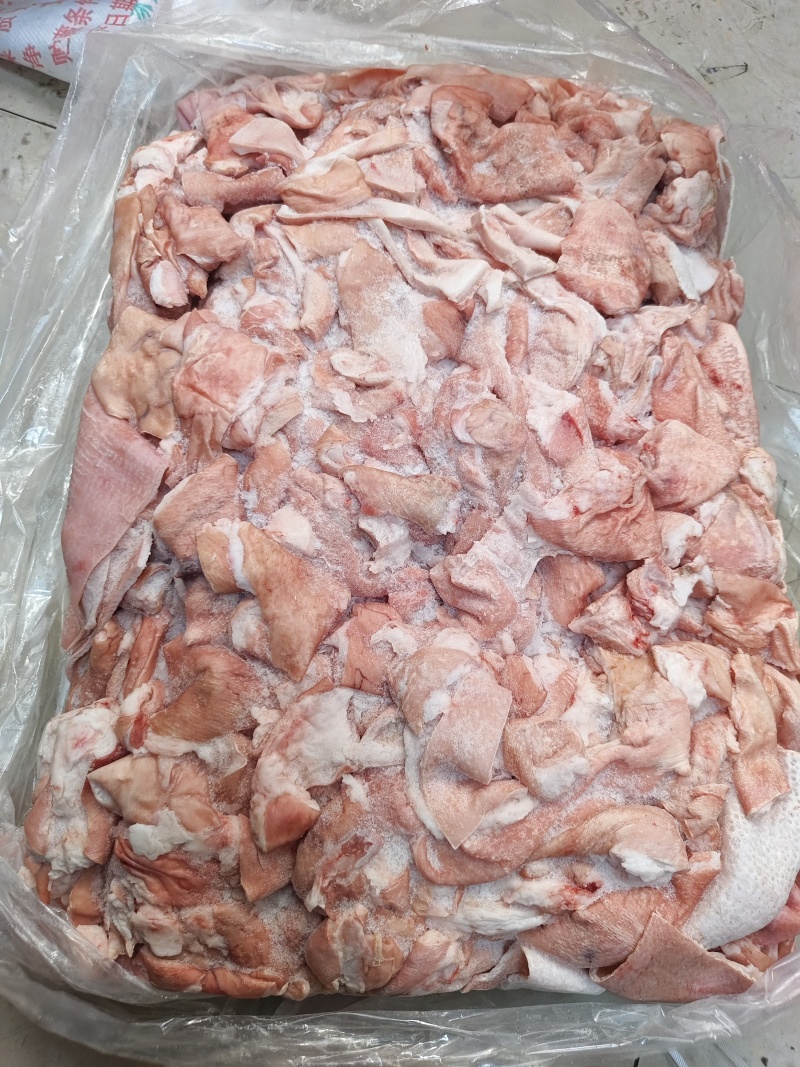 鲜冻猪皮去毛去油生猪皮肉皮猪皮猪皮批发鲜猪碎皮冷冻