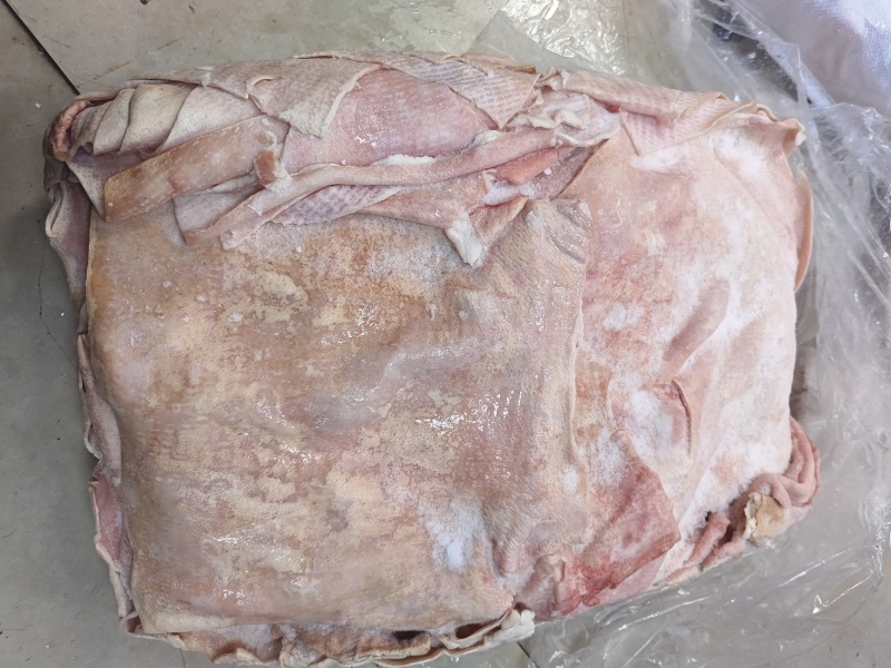 鲜猪皮去毛去油生猪皮肉皮新鲜猪皮猪皮批发鲜猪碎皮冷冻商