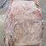 鲜猪皮去毛去油生猪皮肉皮新鲜猪皮猪皮批发鲜猪碎皮冷冻商