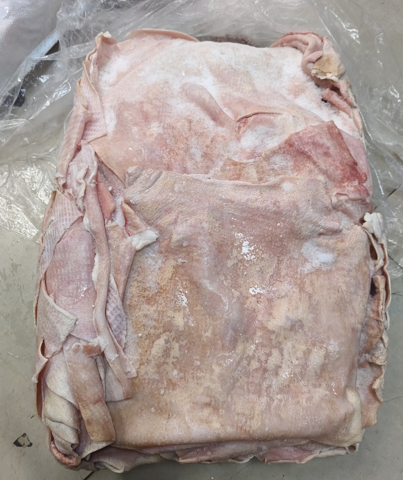 鲜猪皮去毛去油生猪皮肉皮新鲜猪皮猪皮批发鲜猪碎皮冷冻商