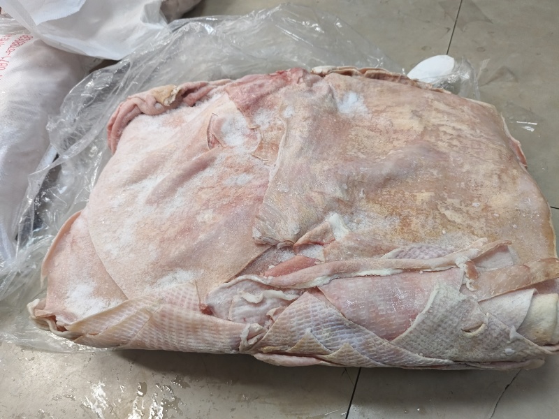 鲜猪皮去毛去油生猪皮肉皮新鲜猪皮猪皮批发鲜猪碎皮冷冻商