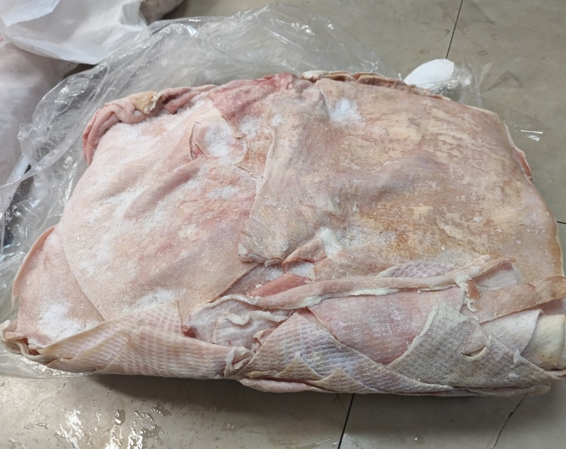 鲜猪皮去毛去油生猪皮肉皮新鲜猪皮猪皮批发鲜猪碎皮冷冻商