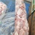 猪碎肉冷冻瘦肉37精碎肉3肥7瘦肉夹馍包子馅食材