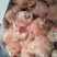 生鲜猪脚圈猪肘子猪蹄髈小蹄髈多肉蹄髈商用红烧卤味烧烤食材