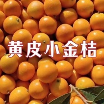 云南脆皮金桔应季水果清甜可口皮薄肉厚可带皮食用水果