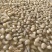 腌制半成品藠头