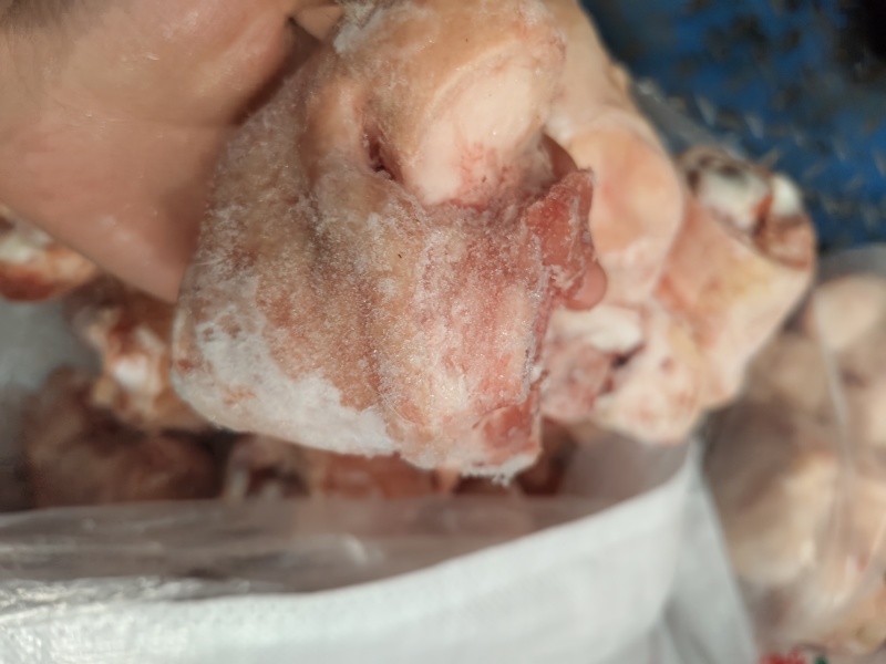 生鲜猪脚圈猪肘子猪蹄髈小蹄髈多肉蹄髈商用红烧卤味烧烤食材
