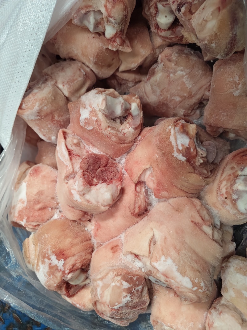 生鲜猪脚圈猪肘子猪蹄髈小蹄髈多肉蹄髈商用红烧卤味烧烤食材