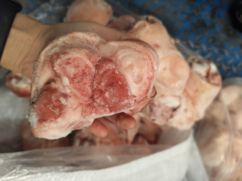 生鲜猪脚圈猪肘子猪蹄髈小蹄髈多肉蹄髈商用红烧卤味烧烤食材