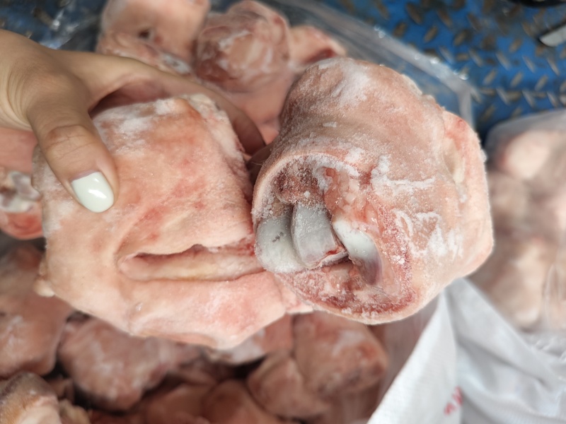 生鲜猪脚圈猪肘子猪蹄髈小蹄髈多肉蹄髈商用红烧卤味烧烤食材