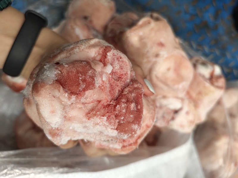 生鲜猪脚圈猪肘子猪蹄髈小蹄髈多肉蹄髈商用红烧卤味烧烤食材