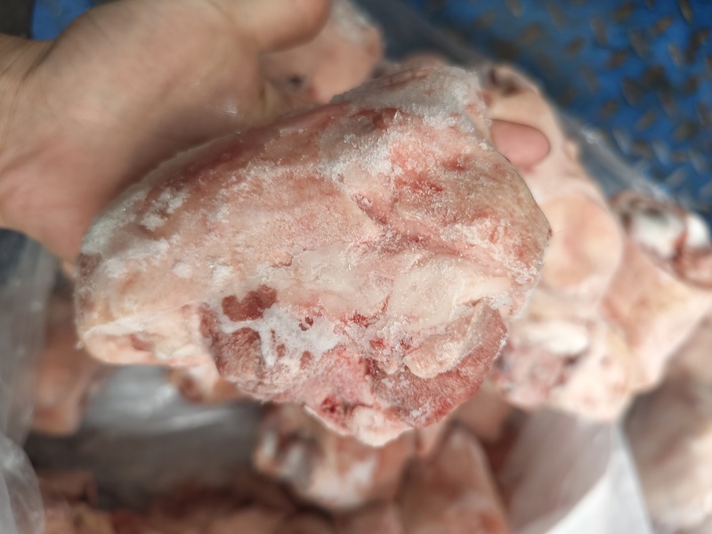 生鲜猪脚圈猪肘子猪蹄髈小蹄髈多肉蹄髈商用红烧卤味烧烤食材