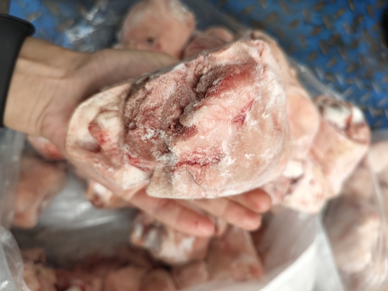 生鲜猪脚圈猪肘子猪蹄髈小蹄髈多肉蹄髈商用红烧卤味烧烤食材