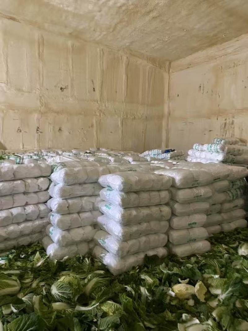 黑龙江齐齐哈尔黄心白菜大量上市