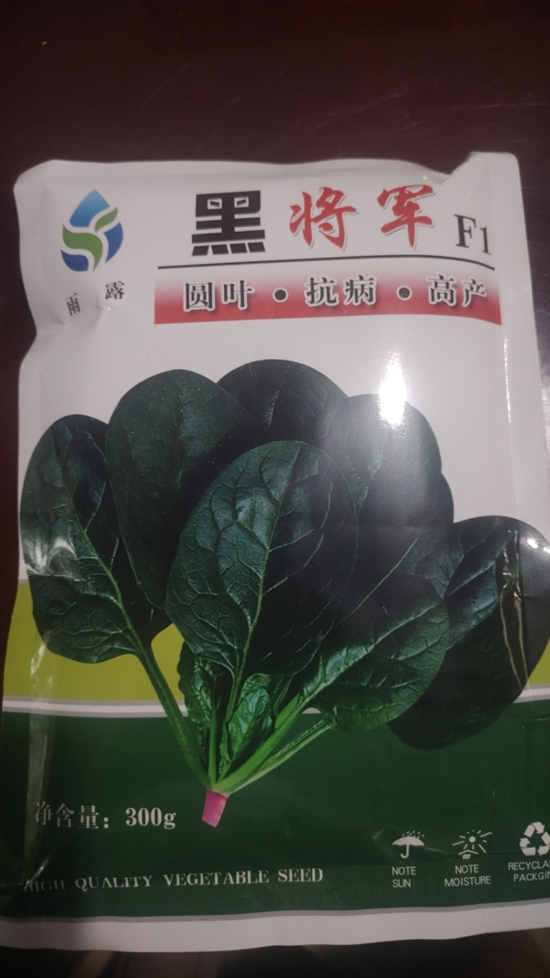 高端黑将军菠菜种子大量现货供应需要的联系支持物流发货