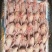 乳鸽肉