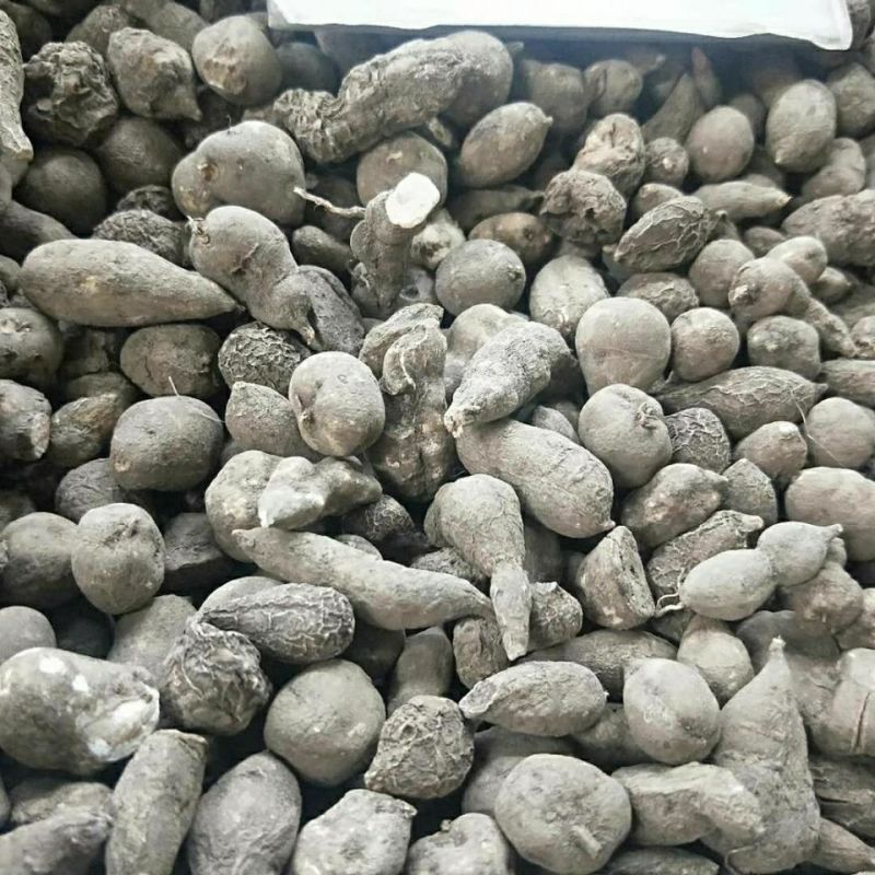 新货三叶青干货三叶青金线吊葫芦三叶青石猴子三叶对泡茶三叶