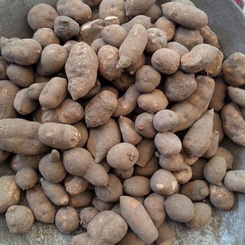 新货三叶青干货三叶青金线吊葫芦三叶青石猴子三叶对泡茶三叶