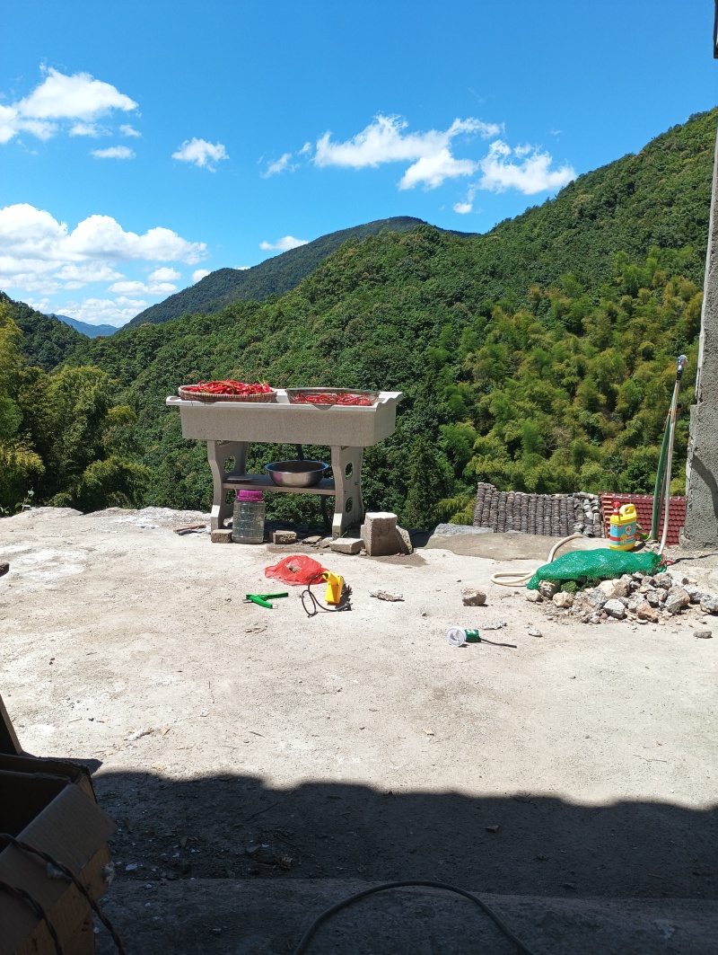 高山生态种植养殖