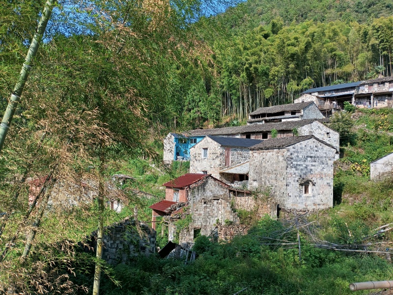 高山生态种植养殖