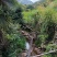 高山生态种植养殖