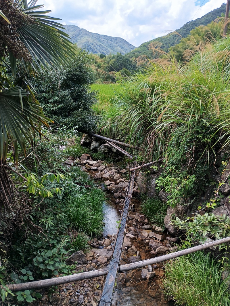 高山生态种植养殖