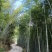 高山生态种植养殖