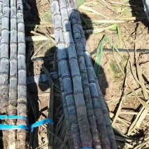 黑皮甘蔗，云南黑皮甘蔗大量上市基地直供一手货源